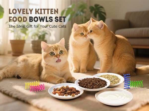 Cat Food Bowl (8pcs-White)