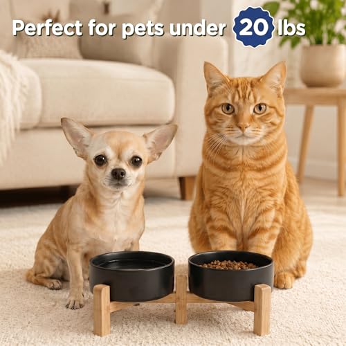 Elevated Dog Bowls Ceramic (5.1 in - 1.7 cups / Black)