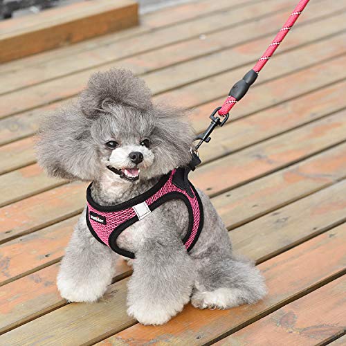 Dog Harness Step (Pink / Small (Chest 11.5''-14'', Weight 8-11 lb))