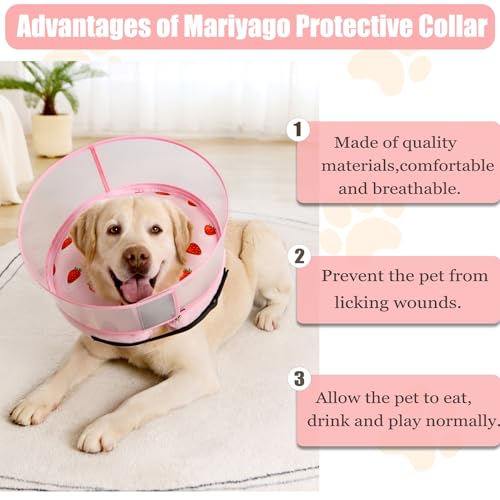 Inflatable Dog Cone Collar for Large Medium Small Dogs (Strawberry Print / Large)