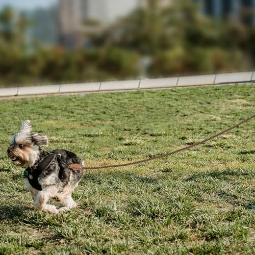 Dog Leash Braided Cotton Rope with Leather (Dark Brown / 48 Inch-1/3")