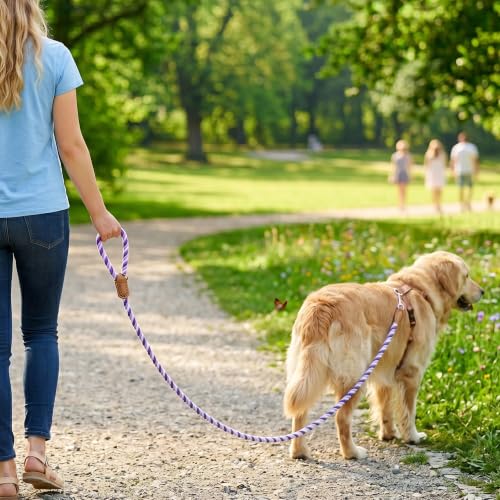 Rainbow Dog Leash Braided Cotton Rope w Leather (Purple Gradient / 60 Inch-1/2")