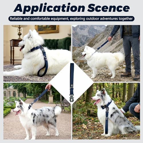 14 Inch Traffic Dog Leash with Padded Handle (Navy Blue)