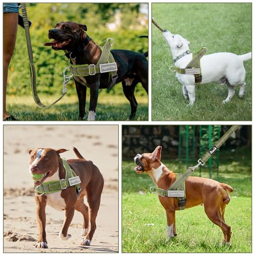 No Pull Dog Harness and Leash Set (Green / Medium)