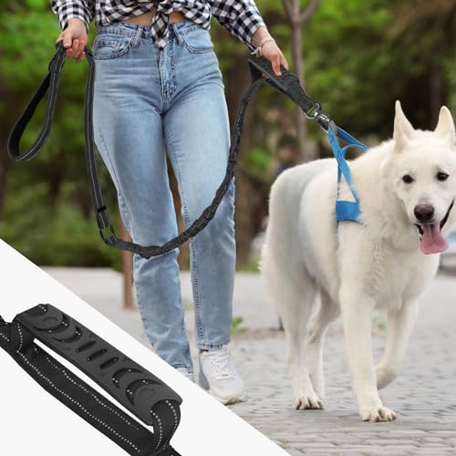 Heavy Duty Dog Leash for Medium Large Dogs (Black)