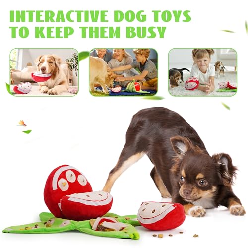 Hide and Seek Plush Dog Toys (watermelon)