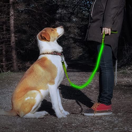 LED Dog Leash (GreenⅢ)