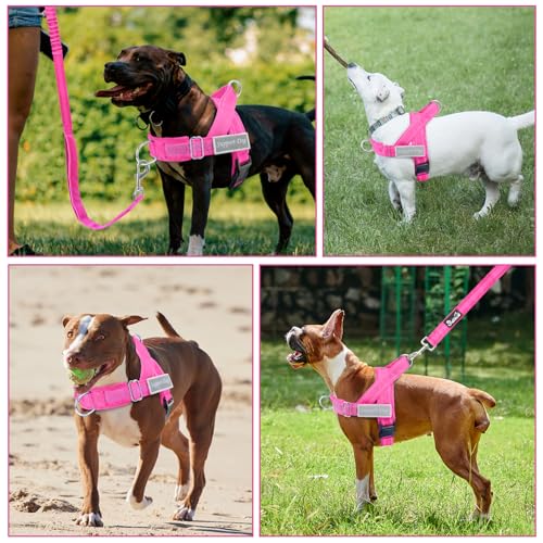 No Pull Dog Harness and Leash Set (Fuchsia / Large)