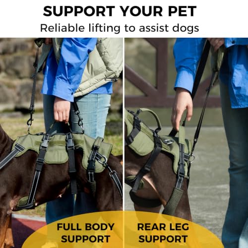 Dog Lift Harness for Large Dogs (Green / Large)