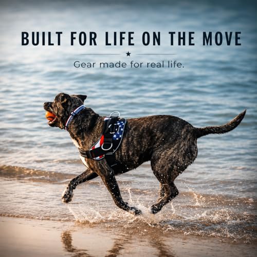 Essential Dog Harness (White Sharks / XL)
