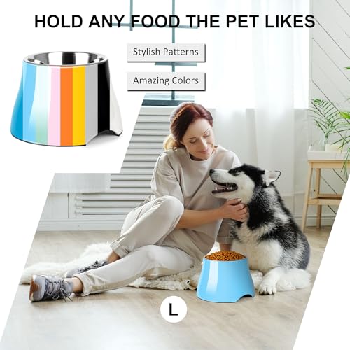 Dog Bowls Cone Friendly Non Slip Single Dog Bowl with Stainless Steel Inner (Large(3 Cups) / Aqua Blue)