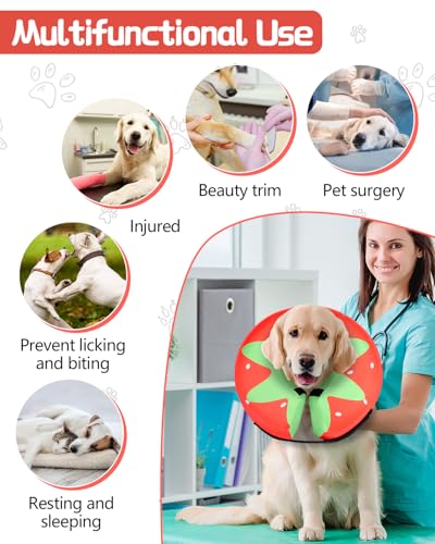 Inflatable Dog Cone (Tomato / XL(21"-24"))