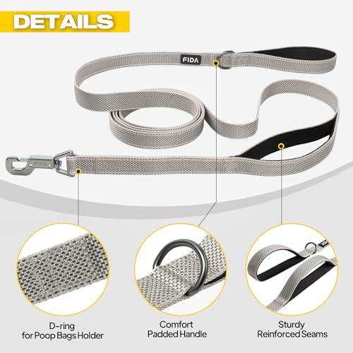 10 FT Heavy Duty Dog Leash (10 Feet (Pack of 1) / Grey)