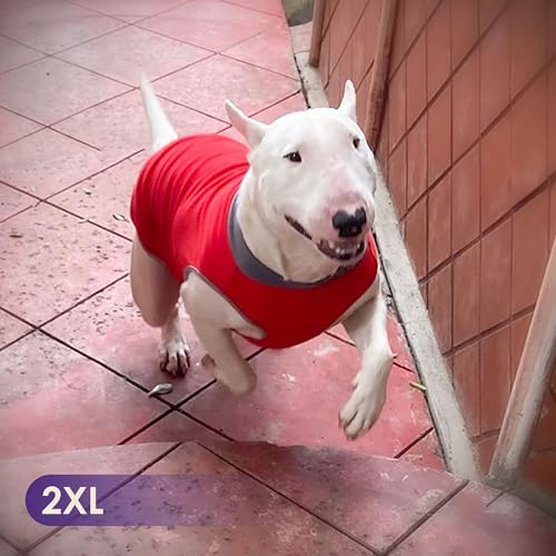 2 Pack Fleece Dog Sweater Pullover Lightweight Reflective Jacket (XX-Large / 3# Red & Grey)