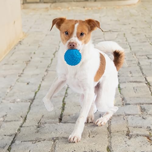 Squeaky Dog Toys with Soft Durable Fabric for Small (Blue / Large)