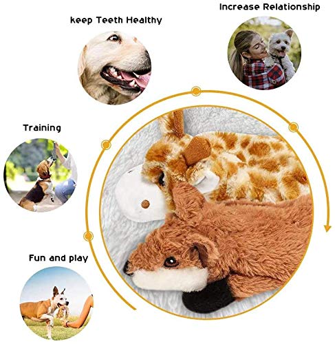 Dog Squeaky Toys (5 Pcs No Stuffing Basic)