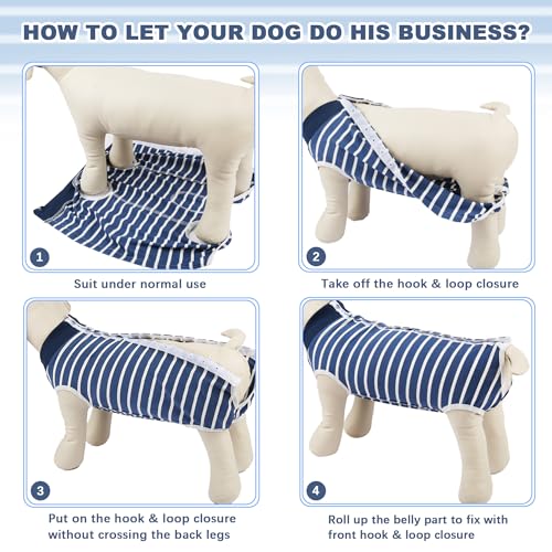 Recovery Suit for Dogs (Blue / X-Large)
