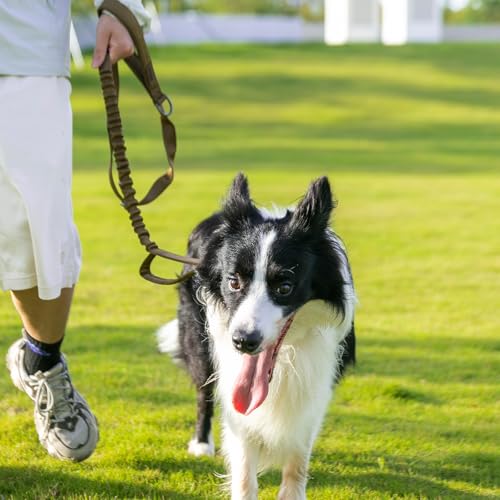 5 6FT Military Bungee Dog Leash Adjustable Elastic (GRY)