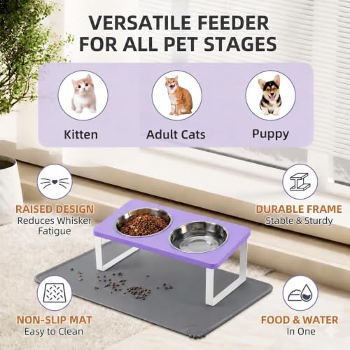 Upgraded Elevated Cat Bowls with Food Mat