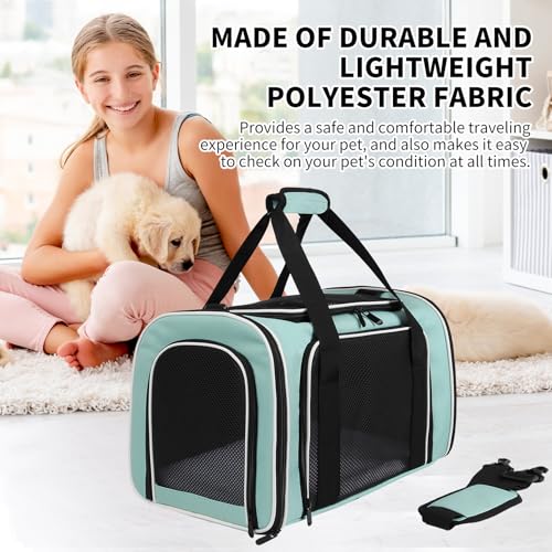 Cat Dog Carriers Soft (17.0"L x 11.0"W x 11.0"H / green)