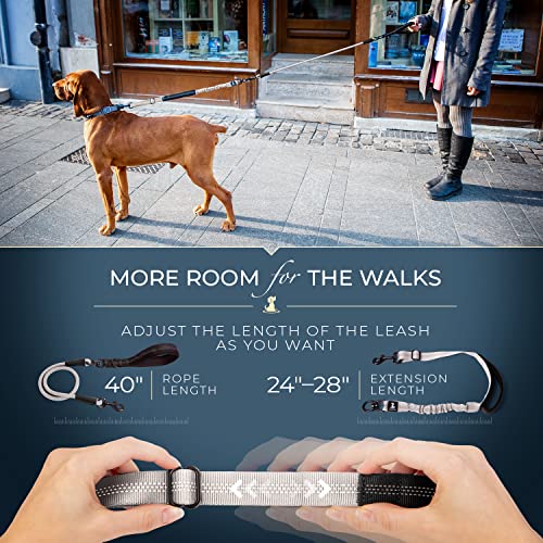 Heavy Duty Bungee Rope Leash (Adjustable Premium Silver)