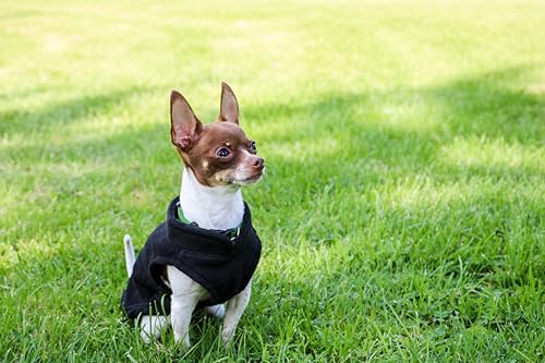 Dog Fleece Vest Sweater with Leash Ring (M (6-10lbs) / Black)