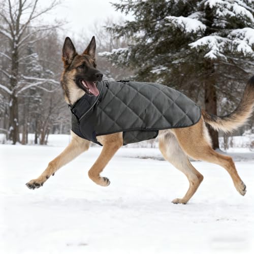 Weighted Dog Vest (Grey / Medium)