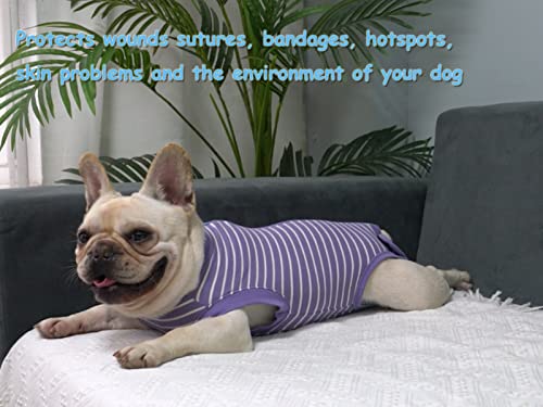Dog Surgery Recovery Suit (L(Back15- 17" Chest 21- 23" Weight 25- 36 lb) / Purplewhite)