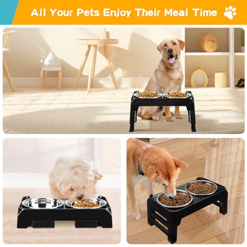 Elevated Dog Bowls for Small Medium Dogs (Black / 6" for Small Dogs)