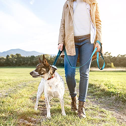 6FT 1IN Heavy Duty Dog Leash for Large Dogs with 2 Padded Handles (Blue / 1 in x 6 ft)