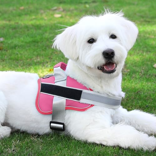 Dog Harness No (X-Large (Pack of 1) / Fuchsia)