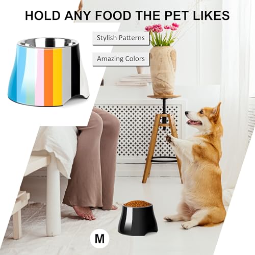Dog Bowls Cone Friendly Non Slip Single Dog Bowl with Stainless Steel Inner (Medium(2 Cups) / Black)