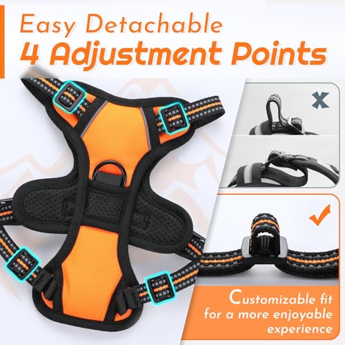 Dog Harness for Small Dogs (X-Small / Orange)