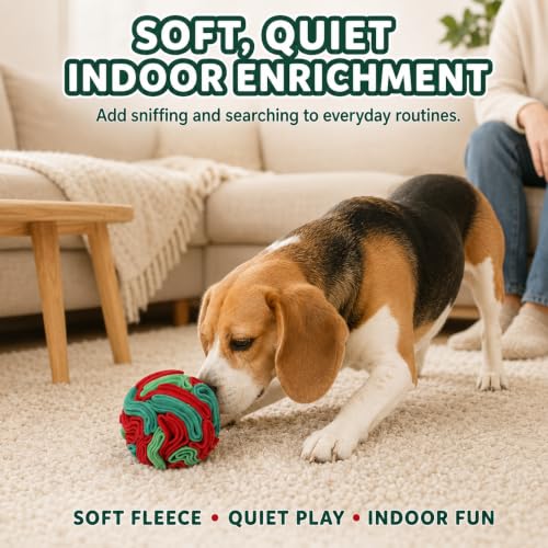 Snuffle Ball for Dogs (Red & Green / Small)
