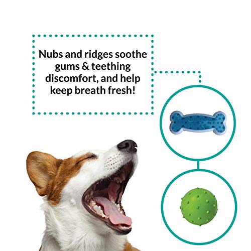 Puppy Chew Toys for Teething