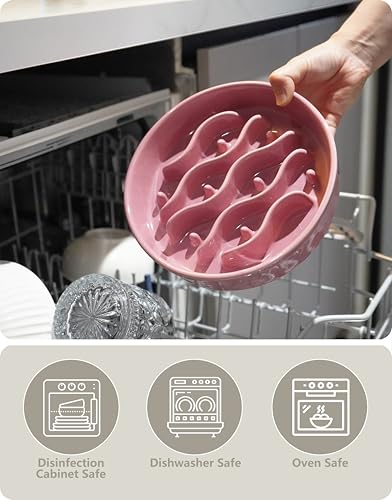 Ceramic Slow Feeder Dog Bowls Elevated (Salmon Pink + Stand / 8 Inches)