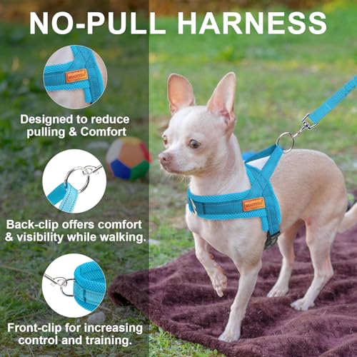 Small Dog Harness and Leash Set (Blue / S: Chest 17.5"-22")
