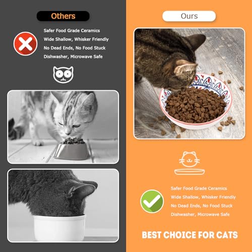 Cat Food Bowl (Boho–8 Pack)