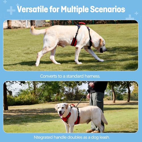 Dog Lifting Harness for Medium Dogs (Red / Medium)