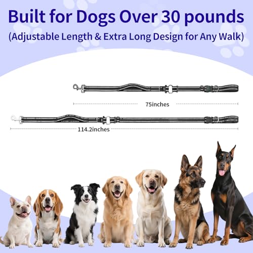 Hands Free Dog Leash by Kazazoo (Black / M)