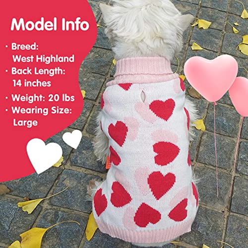 Valentines Dog Sweater (Large (11-19lbs) / Valentine)