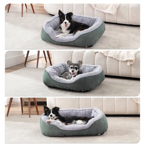 Large Dog Beds Large Sized (L (35"x25"x9") / Green)