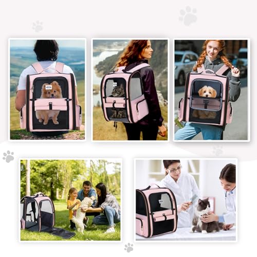 Large Cat Backpack Carrier Expandable Foldable Pet Carrier Backpack for Small Dogs Puppy Medium Cats Fit Up to 18 Lbs for Travel (Pink)