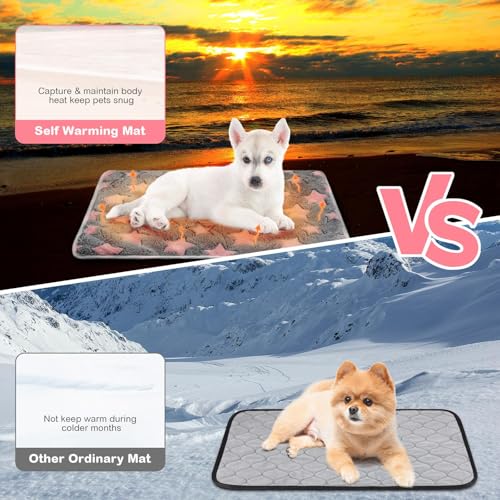 4 Pack Self Heating Cat Bed Cat Self Warming Pad with Removable Cover Extra Warm Thermal Pet Pad Washable Pet Crate Mat Anti Slip Kennel for Indoor Outdoor Pets (16 x 20 Inches)