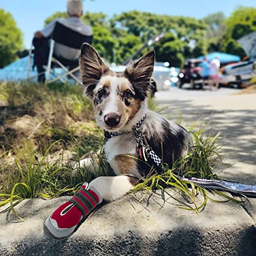 Dog Shoes for Large Medium Dog Boots & Paw Protectors for Hot Pavement (Red / Size 2: 1.9''x2.4''(W*L) for 18-27 lbs)