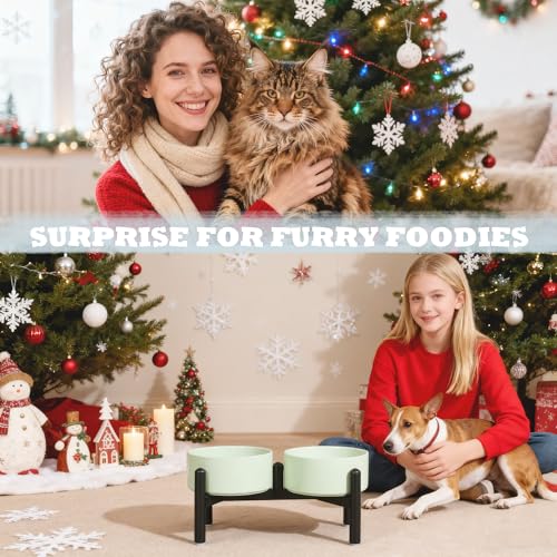 Ceramic Elevated Dog Bowl Set (Blue / 3.5 Cups)