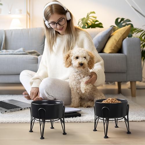 Elevated Dog Bowls (Black / 3.6 Cups | 2 Pack | For Medium Dogs)