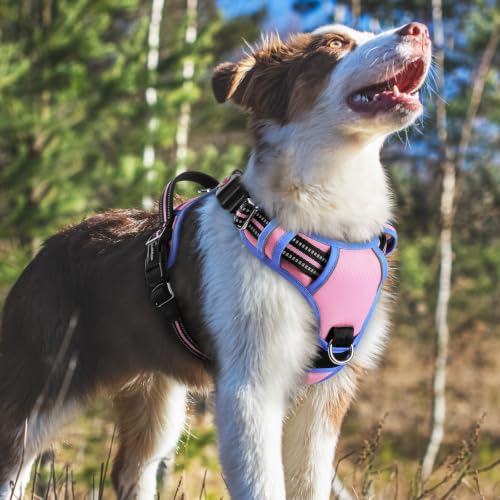 Dog Harness Medium Sized (Light Pink & Blue / Medium)