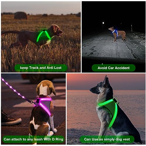Light Up Dog Harness (Medium / Green)