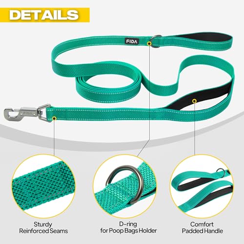 10 FT Heavy Duty Dog Leash (10 Feet (Pack of 1) / Teal)